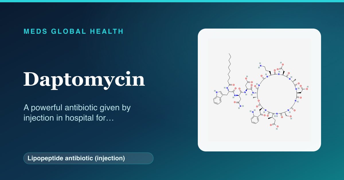 Daptomycin (Lipopeptide antibiotic (injection)) — Meds Global Health reference card with 2D molecular structure