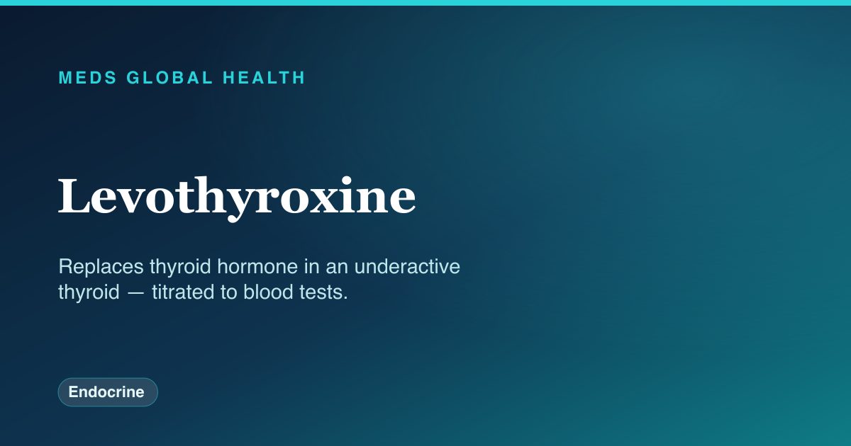 Levothyroxine (Endocrine) — Meds Global Health drug-class reference
