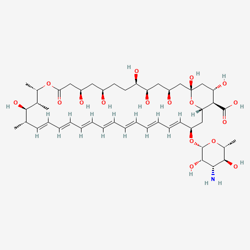 2D chemical (molecular) structure of Amphotericin B